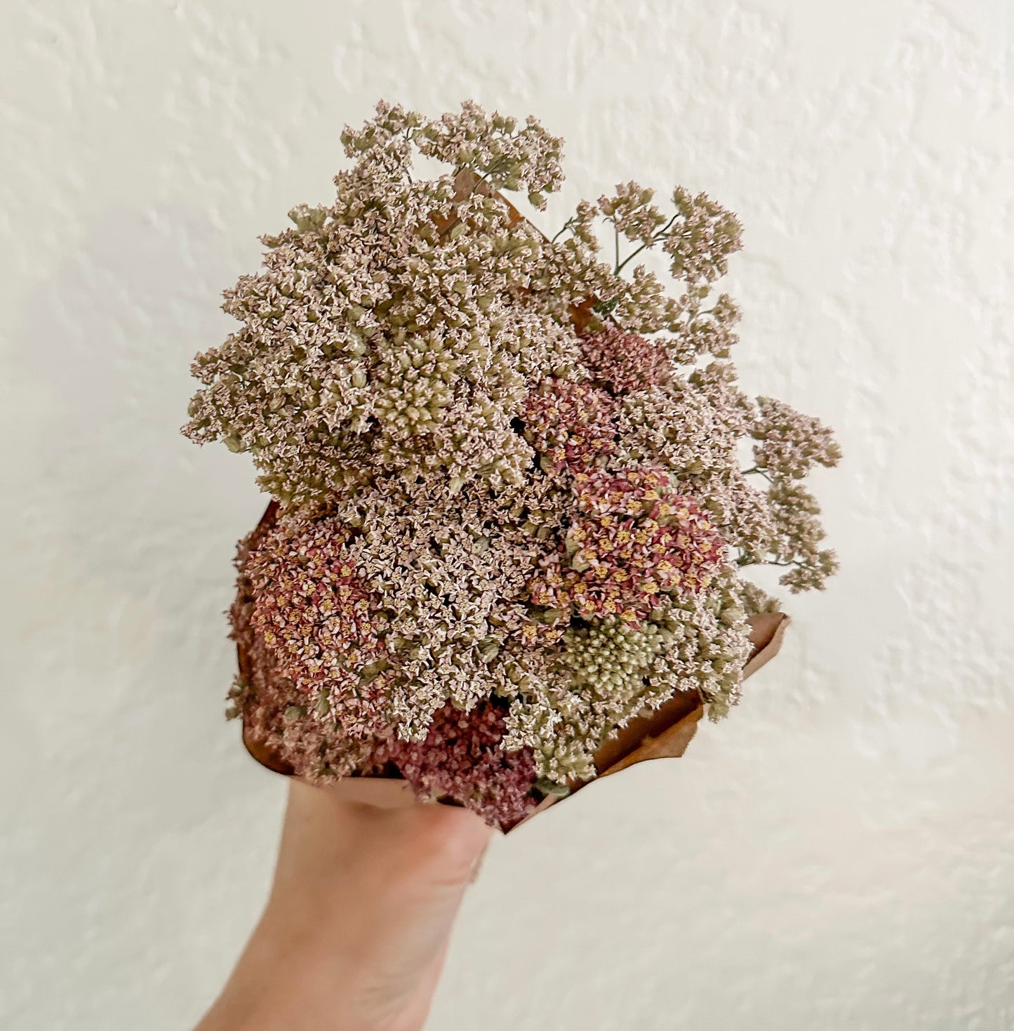 Dried Yarrow