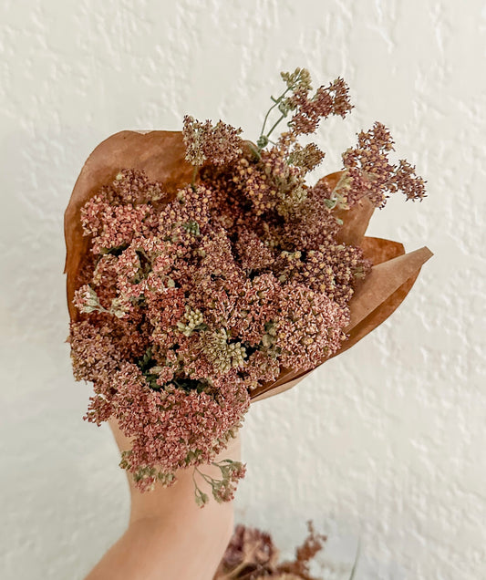 Dried Yarrow